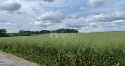 Mézy-sur-Seine Terrain à bâtir - 2289612-11142annonce1202510019mp7i.jpeg Maisons Open