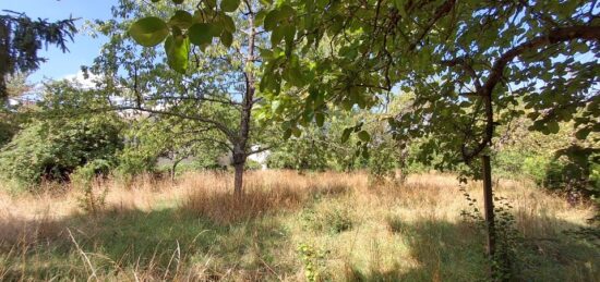 Terrain à bâtir à Saint-Leu-la-Forêt, Île-de-France