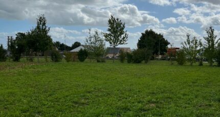 Sougé-le-Ganelon Terrain à bâtir - 2271571-3704annonce1202509158f0GN.jpeg Maisons Open