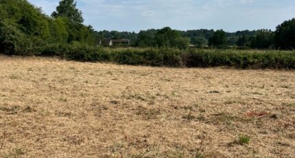Ancinnes Terrain à bâtir - 2319608-3704annonce120251028DbGdc.jpeg Maisons Open