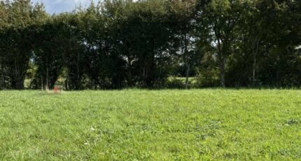 Arçonnay Terrain à bâtir - 2309220-3704annonce120251017sgWLz.jpeg Maisons Open