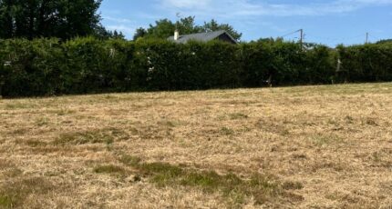 Ancinnes Terrain à bâtir - 2319624-3704annonce120251028mleRU.jpeg Maisons Open