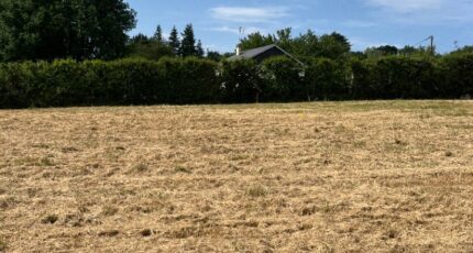 Ancinnes Terrain à bâtir - 2319624-3704annonce220251028Afycq.jpeg Maisons Open