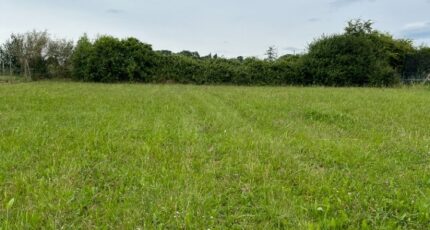 Piacé Terrain à bâtir - 2320003-3704annonce120250527T3HtO.jpeg Maisons Open