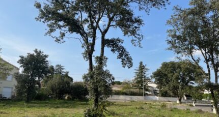 Bollène Terrain à bâtir - 2284255-6150annonce320240404MO4N5.jpeg Maisons Open