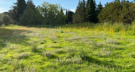 Grillon Terrain à bâtir - 2286099-6150annonce320230109MOfyx.jpeg Maisons Open