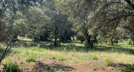 La Baume-de-Transit Terrain à bâtir - 2286581-6150annonce320250627sQzWF.jpeg Maisons Open