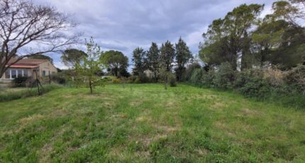 Sainte-Cécile-les-Vignes Terrain à bâtir - 2289040-6150annonce420250627sTP2s.jpeg Maisons Open