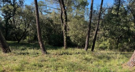 Suze-la-Rousse Terrain à bâtir - 2289024-6150annonce320250524MK0sP.jpeg Maisons Open