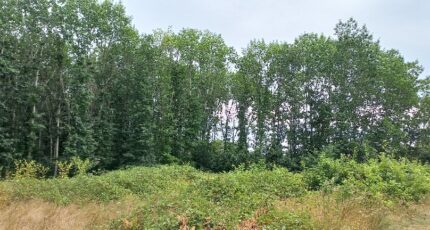 Ménesplet Terrain à bâtir - 2352634-5020annonce220251129nKtTT.jpeg Maisons Open