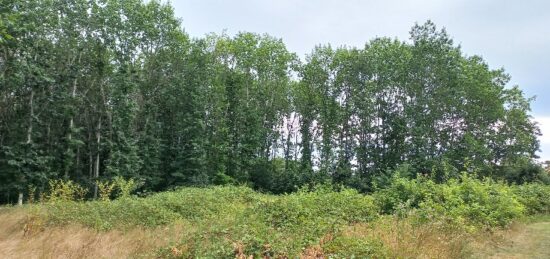 Terrain à bâtir à Ménesplet, Nouvelle-Aquitaine