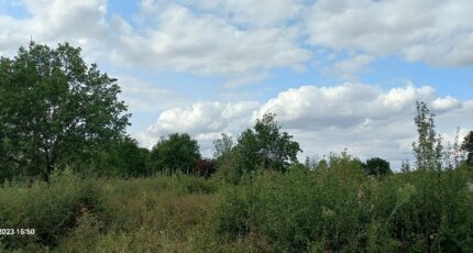 Montpon-Ménestérol Terrain à bâtir - 2352638-5020annonce120251129Oi7Z0.jpeg Maisons Open