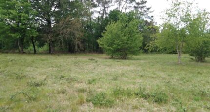 Saint-Barthélemy-de-Bellegarde Terrain à bâtir - 2352632-5020annonce120251129m2gNz.jpeg Maisons Open