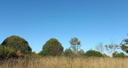 Saint-Martial-d'Artenset Terrain à bâtir - 2352639-5020annonce120251129XfCiv.jpeg Maisons Open