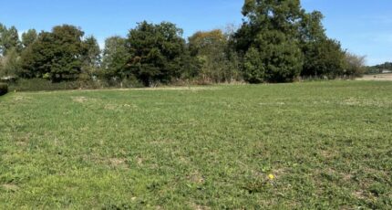 Béthon Terrain à bâtir - 2353018-3704annonce120251130bz56w.jpeg Maisons Open