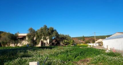 Carnoules Terrain à bâtir - 2246618-11137annonce420250106IT9tK.jpeg Maisons Open