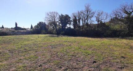 Puget-sur-Argens Terrain à bâtir - 2246630-10295annonce1202504031hLrg.jpeg Maisons Open