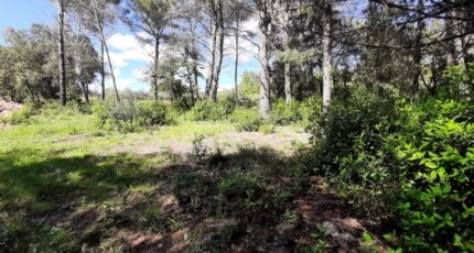 Trans-en-Provence Terrain à bâtir - 2246685-10295annonce120250418TtX7T.jpeg Maisons Open