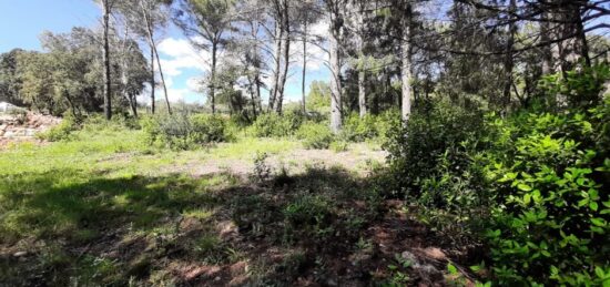 Terrain à bâtir à Trans-en-Provence, Provence-Alpes-Côte d'Azur