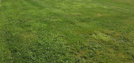 Terrain à bâtir à L'Aigle, Normandie