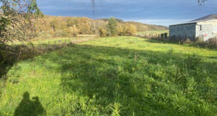 Oursbelille Terrain à bâtir - 2247456-10558annonce2202511193e5Cm.jpeg Maisons Open