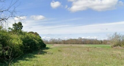 Longages Terrain à bâtir - 2247605-6043annonce420250820FvJcA.jpeg Maisons Open