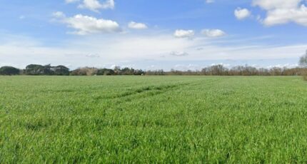 Longages Terrain à bâtir - 2247605-6043annonce520250820Nt4FZ.jpeg Maisons Open