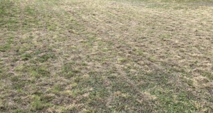 Les Moutiers-en-Retz Terrain à bâtir - 2247689-11110annonce220250820VWMN8.jpeg Maisons Open