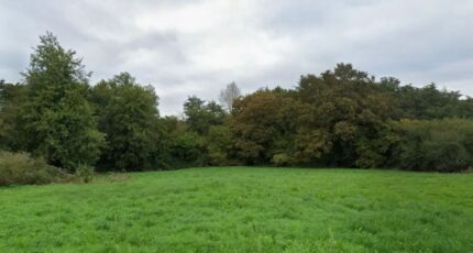 Émerainville Terrain à bâtir - 2247732-11570annonce220250820GJzXv.jpeg Maisons Open