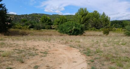 Pouzols Terrain à bâtir - 2248865-11040annonce120250822Wkixb.jpeg Maisons Open