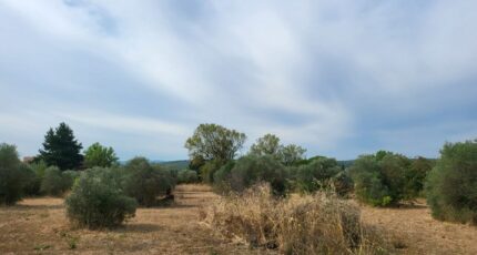 Tavernes Terrain à bâtir - 2248970-10746annonce120250822G2Jsb.jpeg Maisons Open