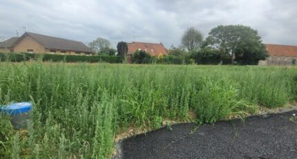 Saint-Omer Terrain à bâtir - 2248856-1587annonce120250822IrReT.jpeg Maisons Open