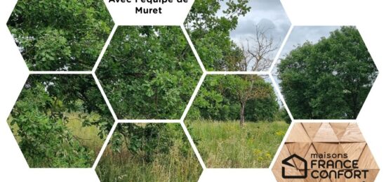 Terrain à bâtir à Seysses, Occitanie