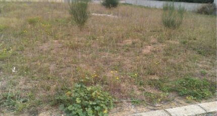 Aigues-Vives Terrain à bâtir - 2250308-10986annonce120250825u5OOO.jpeg Maisons Open