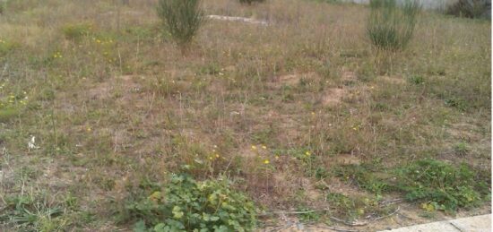 Terrain à bâtir à Aigues-Vives, Occitanie