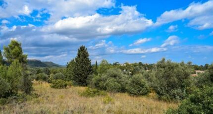 Valflaunès Terrain à bâtir - 2252629-3243annonce1202508276SQt2.jpeg Maisons Open