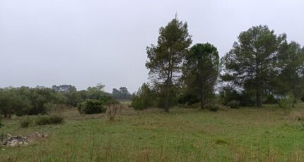 Valflaunès Terrain à bâtir - 2252629-3243annonce320250827kvihR.jpeg Maisons Open