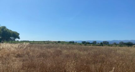 Olonzac Terrain à bâtir - 2253245-11018annonce120250828RBxFH.jpeg Maisons Open