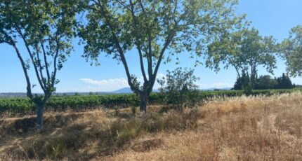 Olonzac Terrain à bâtir - 2253245-11018annonce220250828HVxQQ.jpeg Maisons Open