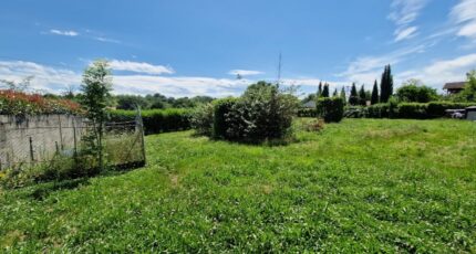 Beauchalot Terrain à bâtir - 2253526-10326annonce120250828L3dgM.jpeg Maisons Open