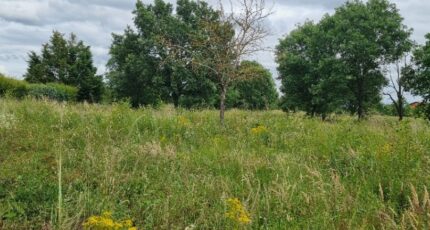 Seysses Terrain à bâtir - 2253409-10326annonce1202508282qTkq.jpeg Maisons Open