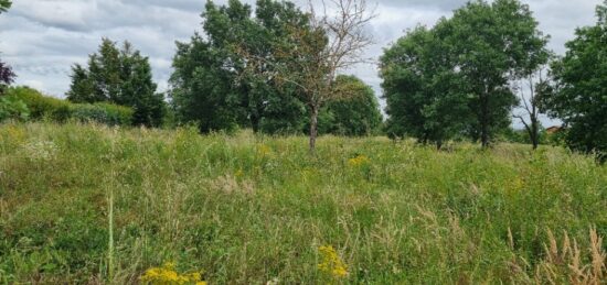 Terrain à bâtir à Seysses, Occitanie
