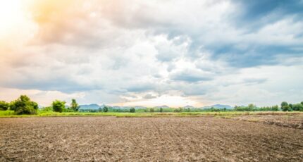 Mettray Terrain à bâtir - 2253507-3427annonce1202505074SPiM.jpeg Maisons Open