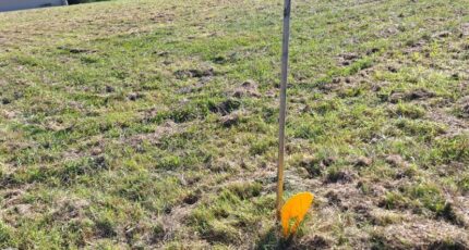 Le Burgaud Terrain à bâtir - 2254249-9555annonce120250829xTPBt.jpeg Maisons Open