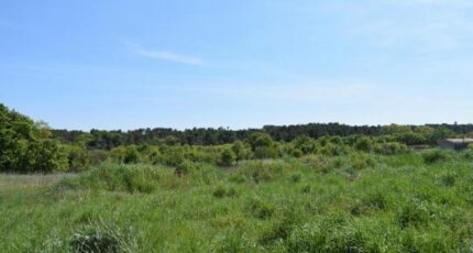 Galargues Terrain à bâtir - 2256427-3243annonce120250510f5n1f.jpeg Maisons Open