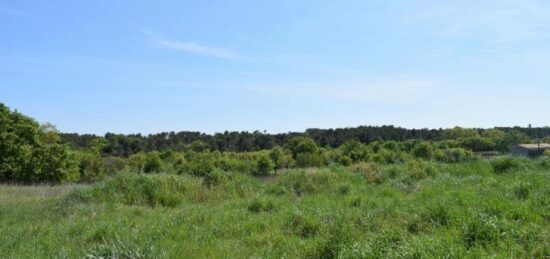 Terrain à bâtir à Galargues, Occitanie
