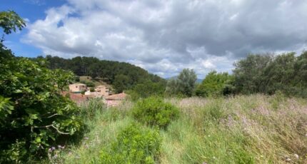 Hyères Terrain à bâtir - 2256827-11136annonce120250901TXo3g.jpeg Maisons Open