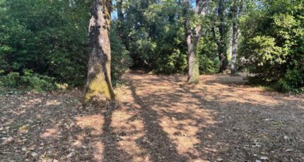 Saint-Cézaire-sur-Siagne Terrain à bâtir - 2257432-5826annonce120250902nsHVC.jpeg Maisons Open