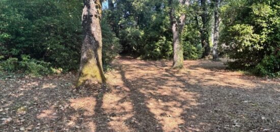 Terrain à bâtir à Saint-Cézaire-sur-Siagne, Provence-Alpes-Côte d'Azur