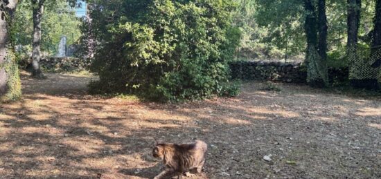 Terrain à bâtir à , Alpes-Maritimes